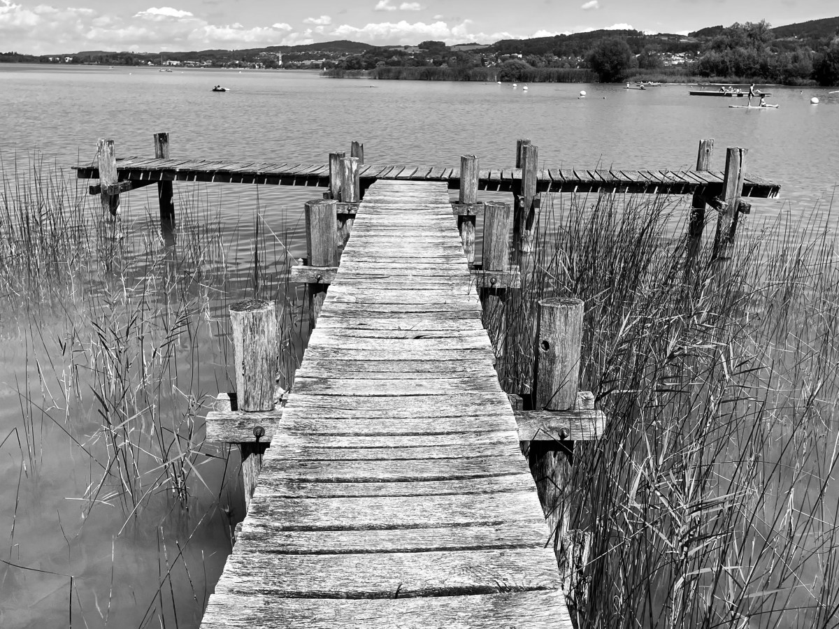 new playlist «healing : in&nbsp;progress»